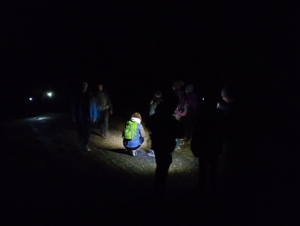 žáci v noci s čelovkou na cestě