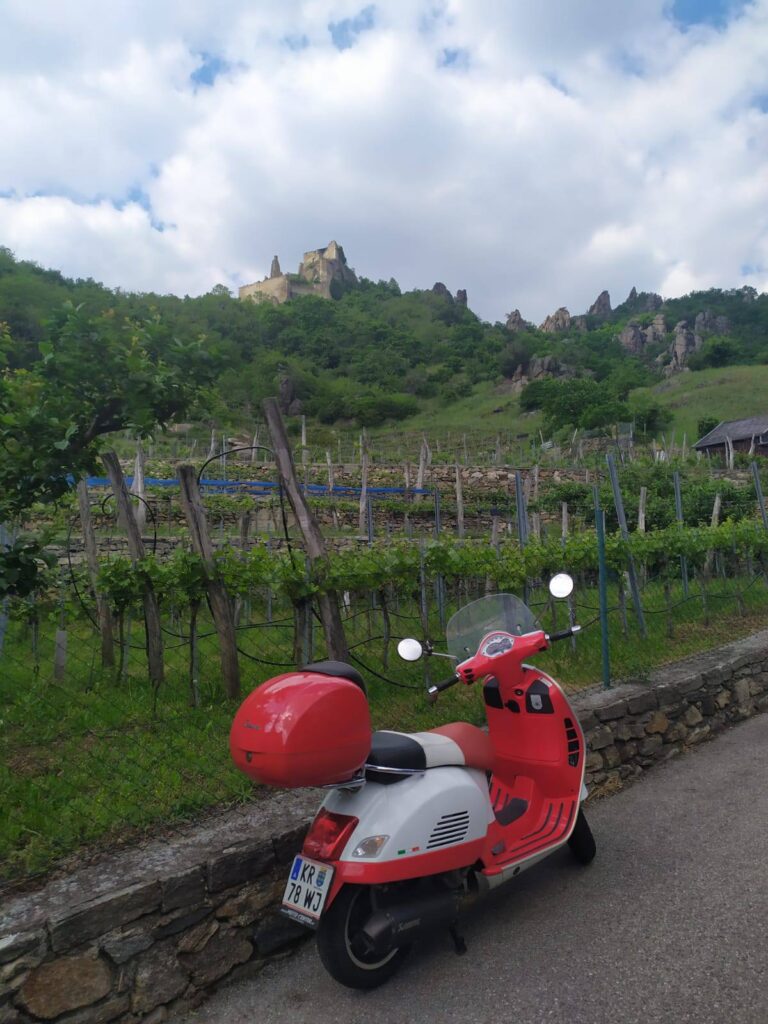 motorka a vinice