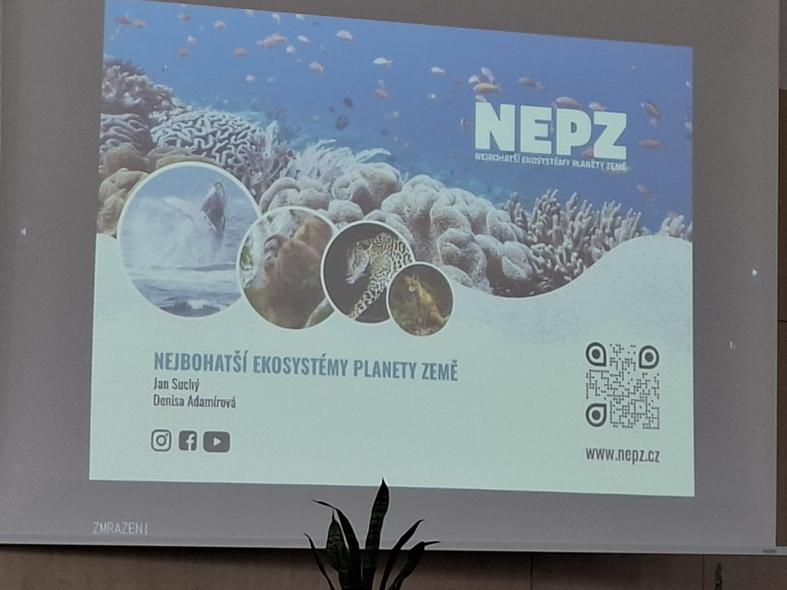 NEPZ pro 3., 4. a 5. třídu